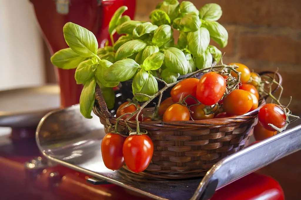 Bed & Breakfast B&B Villa Gobbi Benelli Corsanico-Bargecchia